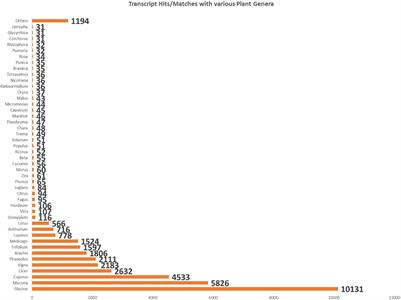 De novo Transcriptome Analysis of Drought-Adapted Cluster Bean (Cultivar RGC-1025) Reveals the Wax Regulatory Genes Involved in Drought Resistance